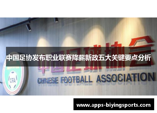 中国足协发布职业联赛降薪新政五大关键要点分析