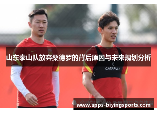 山东泰山队放弃桑德罗的背后原因与未来规划分析 山东泰山队放弃桑德罗的背后原因与未来规划分析
